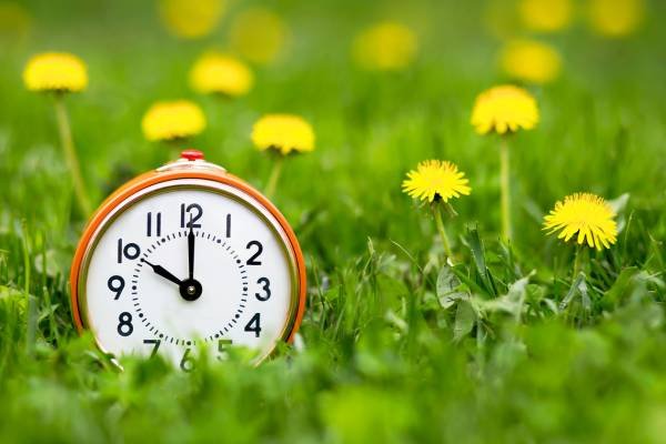 Spring Forward